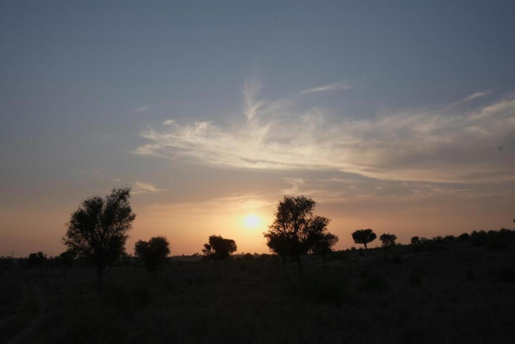 Khiyansaria: Kaner Retreat - India's First Desert Botanical Resort