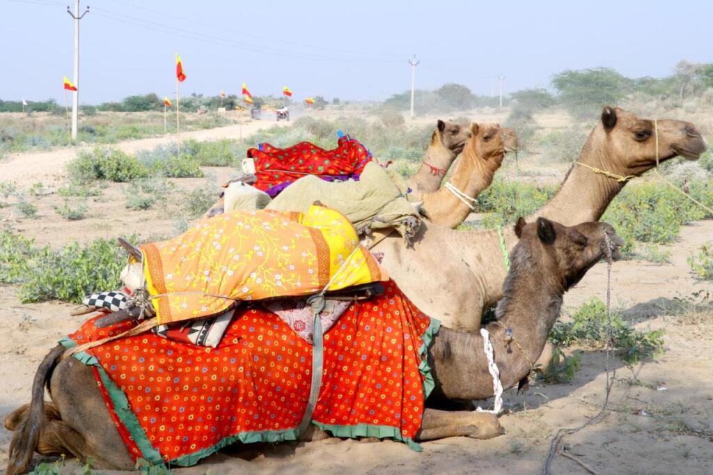 Кхури: Barna Desert Camp