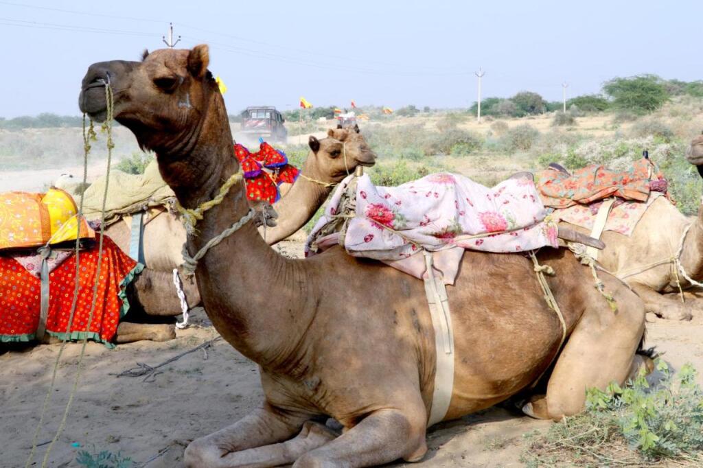 Кхури: Barna Desert Camp