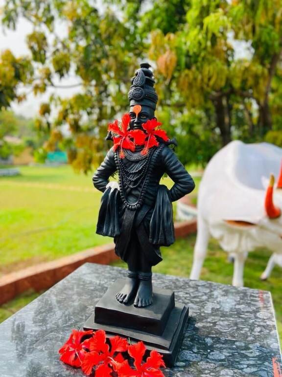 Киим: Ashoka Lawns and Resort