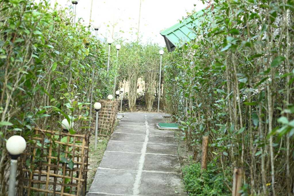 Кохора: Homocation Changghar Kaziranga