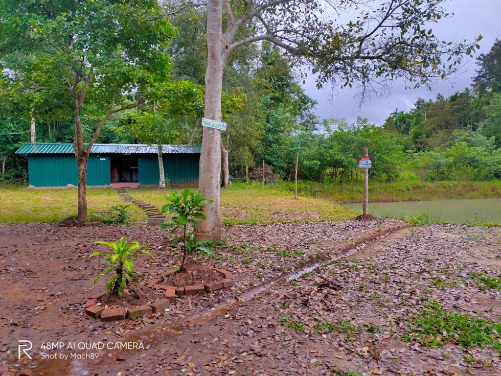 Кушалнагар: Shades Of Green - Camping Near Dubare