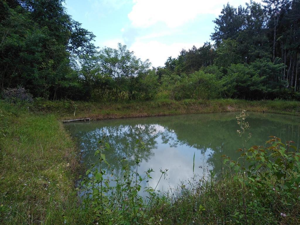 Кушалнагар: Shades Of Green - Camping Near Dubare