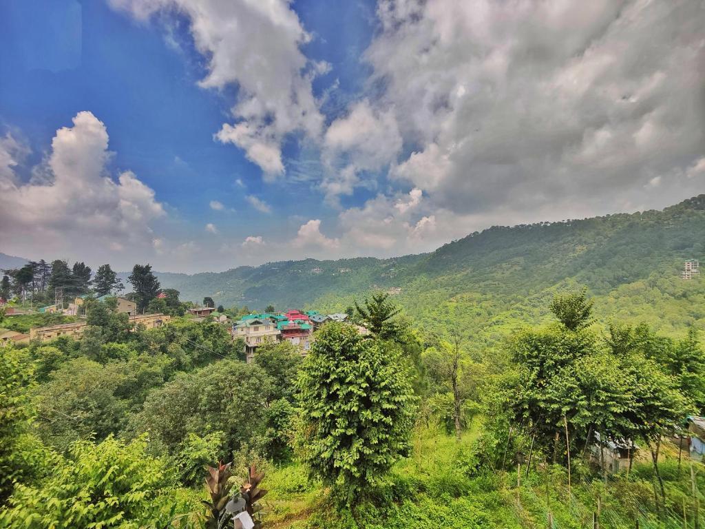 Казаули: Homz in Valley