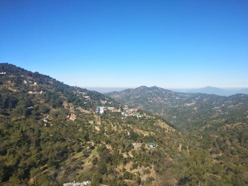 Казаули: Orchid kasauli
