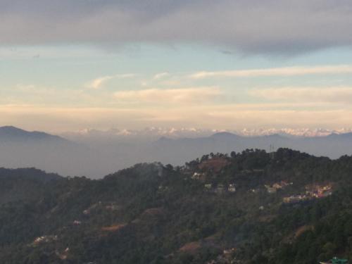 Казаули: Orchid kasauli