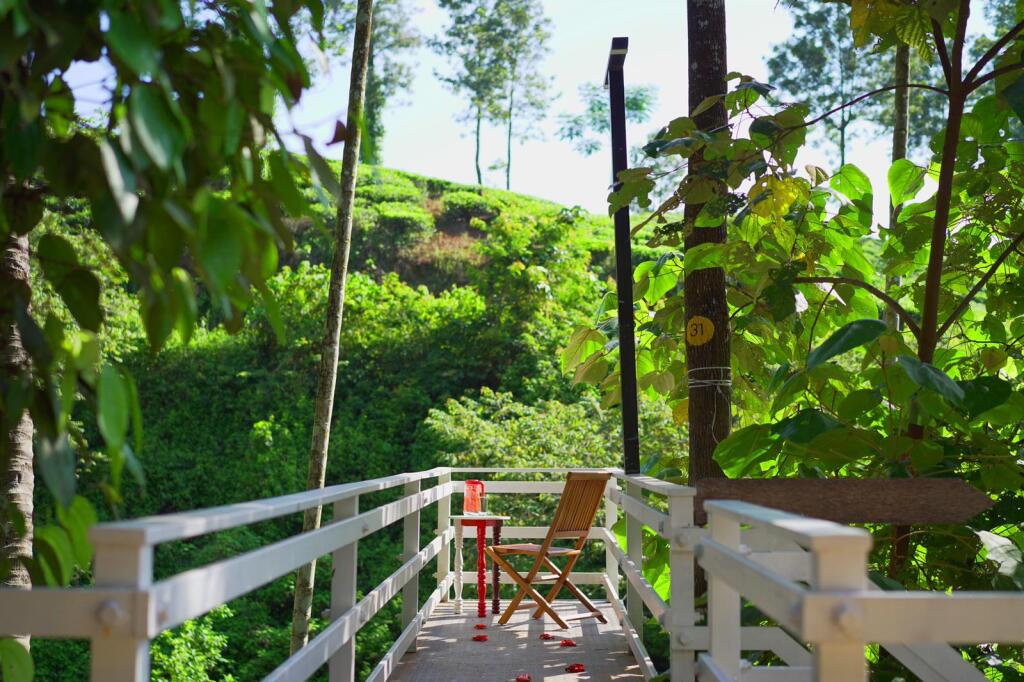Султан-Батери: Iron Bridge Cove