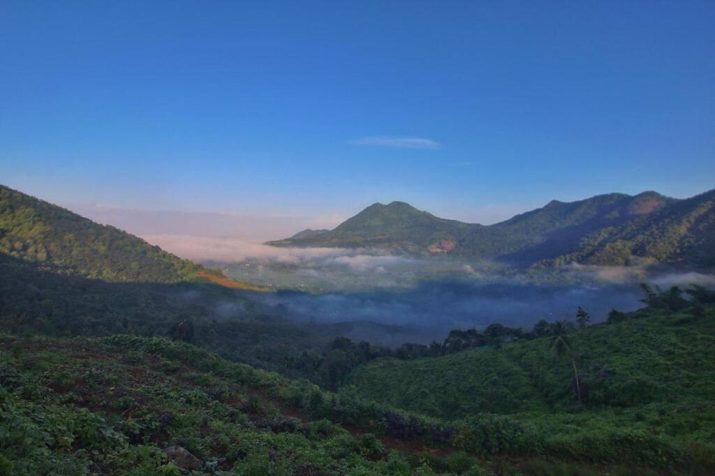 Кондотти: Nexstay Grand Chaliyar Resort