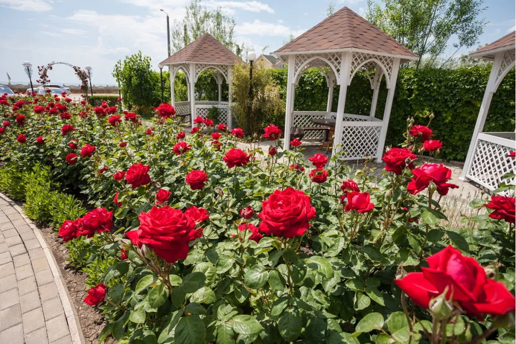 Мини-отель Ай-Петри — фото 6