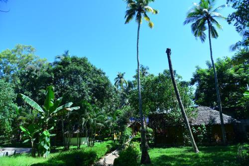 Варкала: Labiba Beach Resort