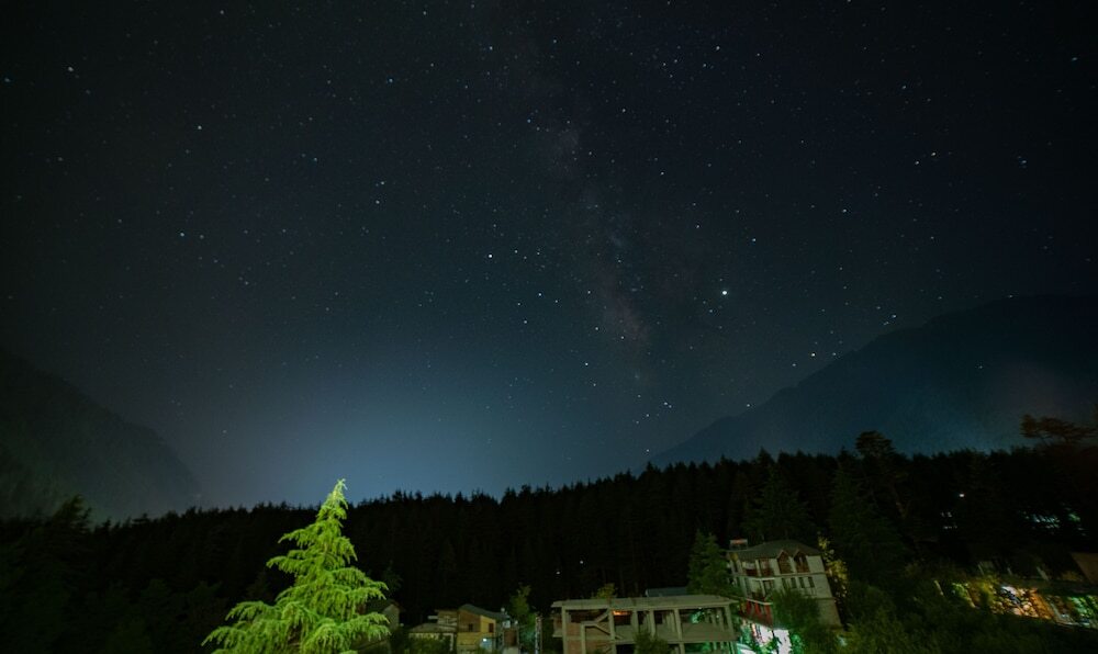 Манали: Alt Life Manali