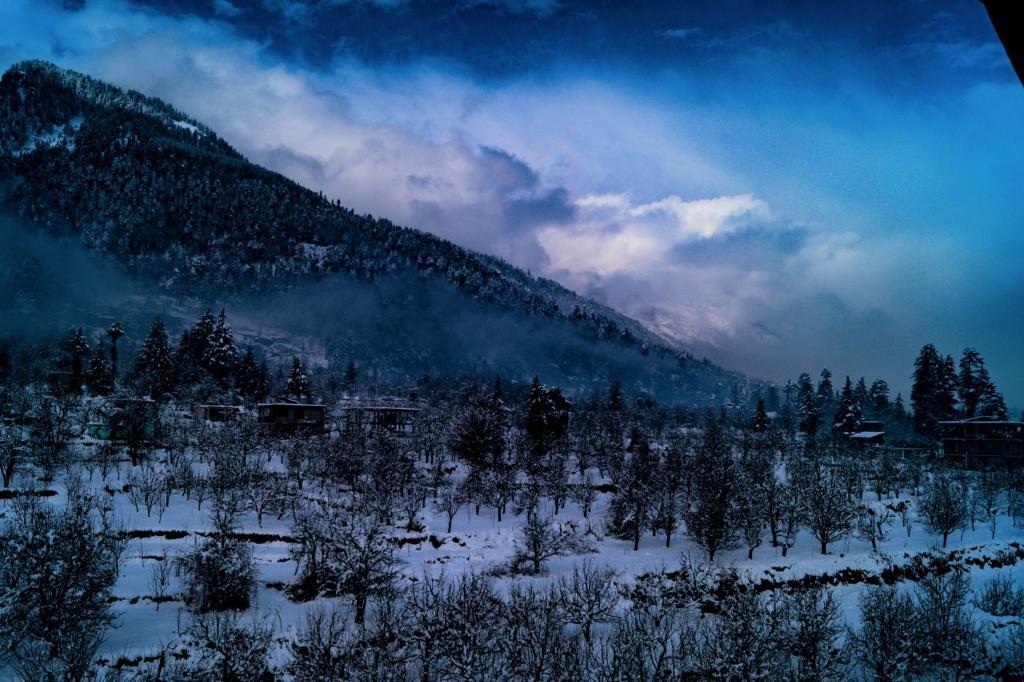 Манали: Alt Life Manali