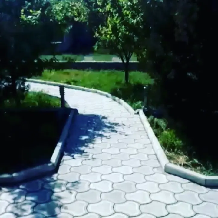 Константа — фото 4