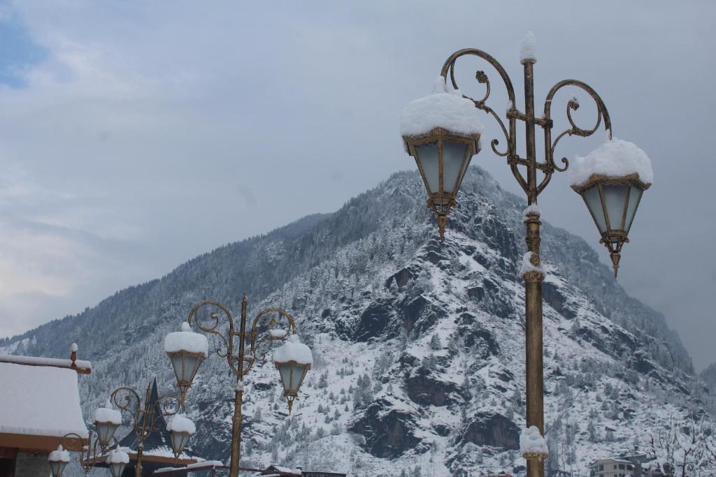 Манали: Tiaraa Hotels & Resorts - A Luxury Resort Manali