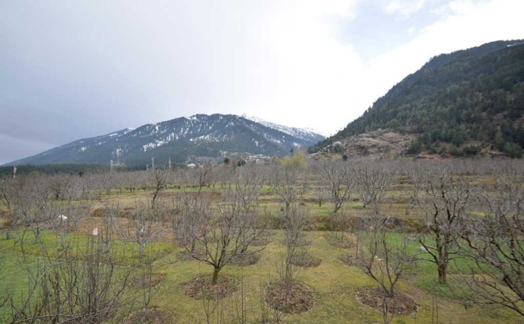 Манали: Himalayan Ecstasy Cottage & Spa