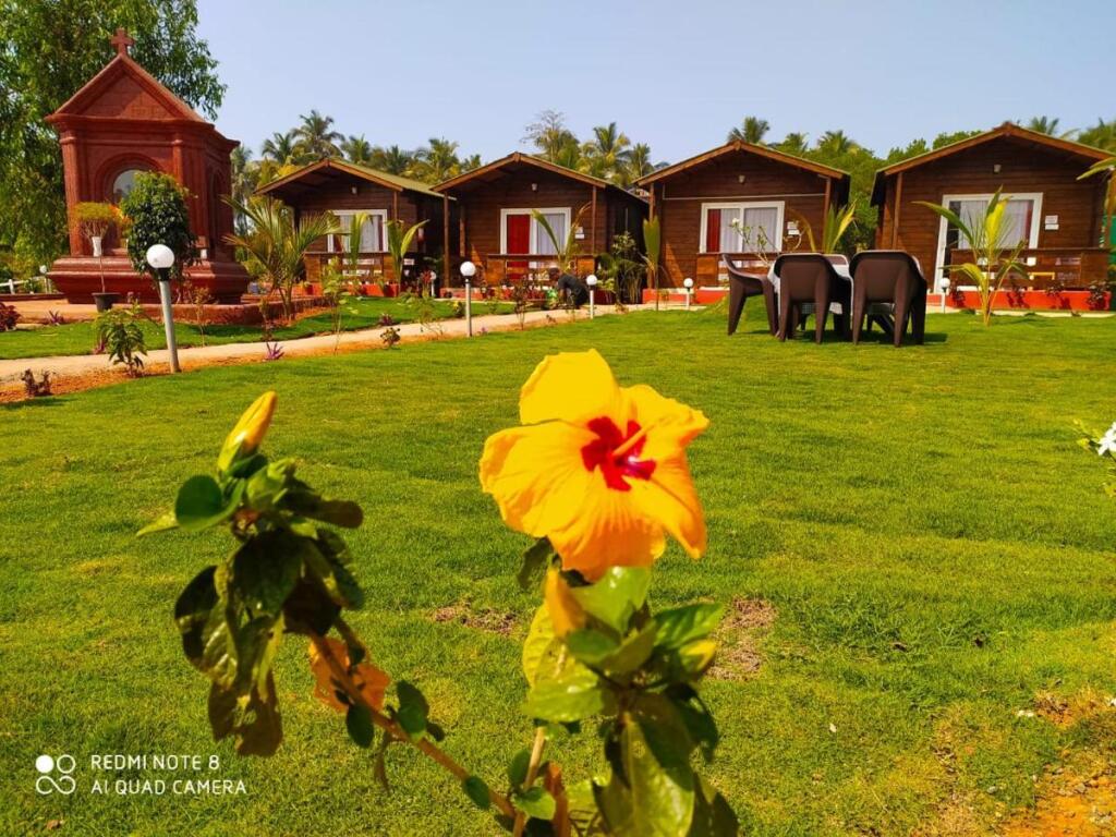 Арамбол: Bliss Water Resort
