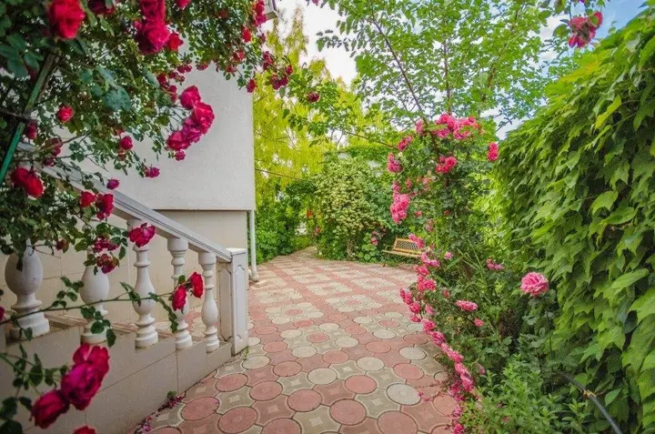 Заозерное: Guest House Avalon