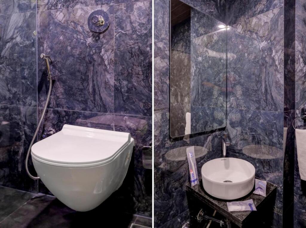 Панаджи: Metropolis Business Hotel