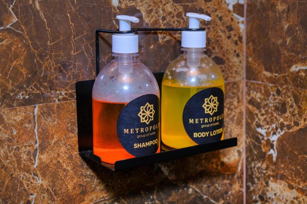 Панаджи: Metropolis Business Hotel