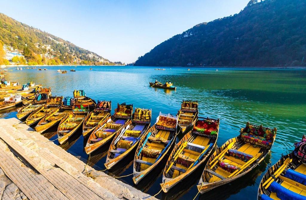 Наинитал: Royce Villa Nainital
