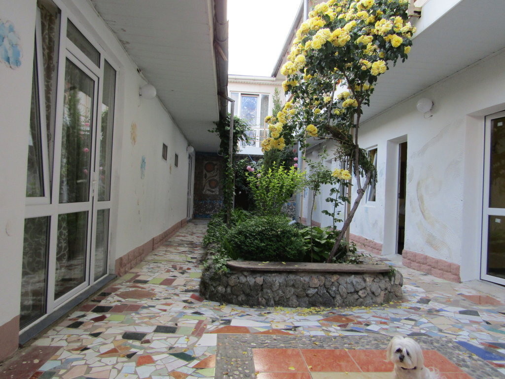 Заозерное: Roza Guest House