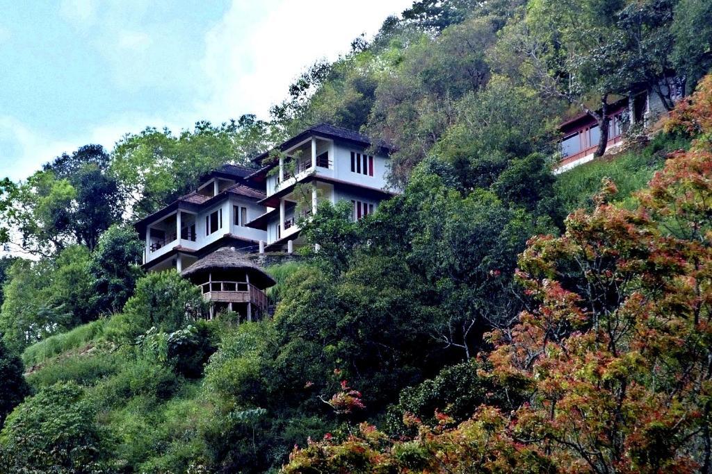 Муннар: Blackberry Hills Munnar - Nature Resort & Spa