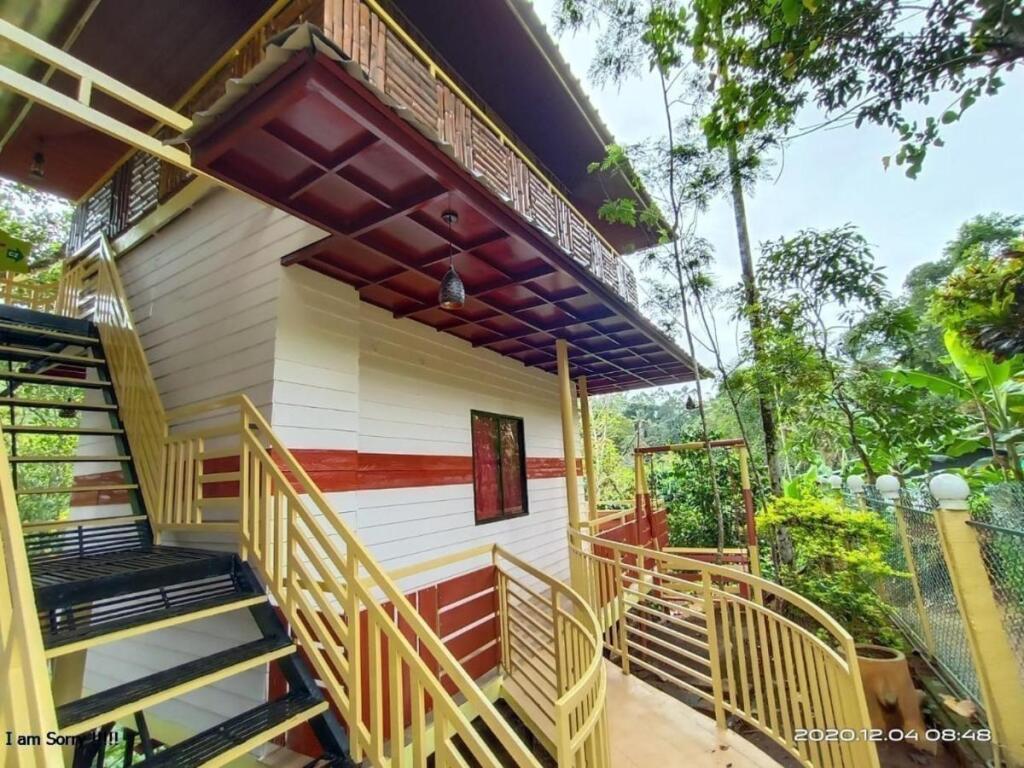 Chalona Jungle Eco Stay — фото 3