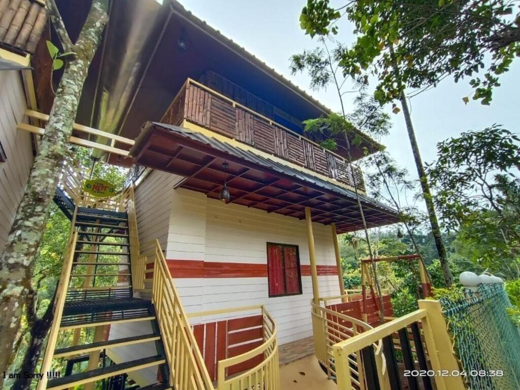 Chalona Jungle Eco Stay — фото 6