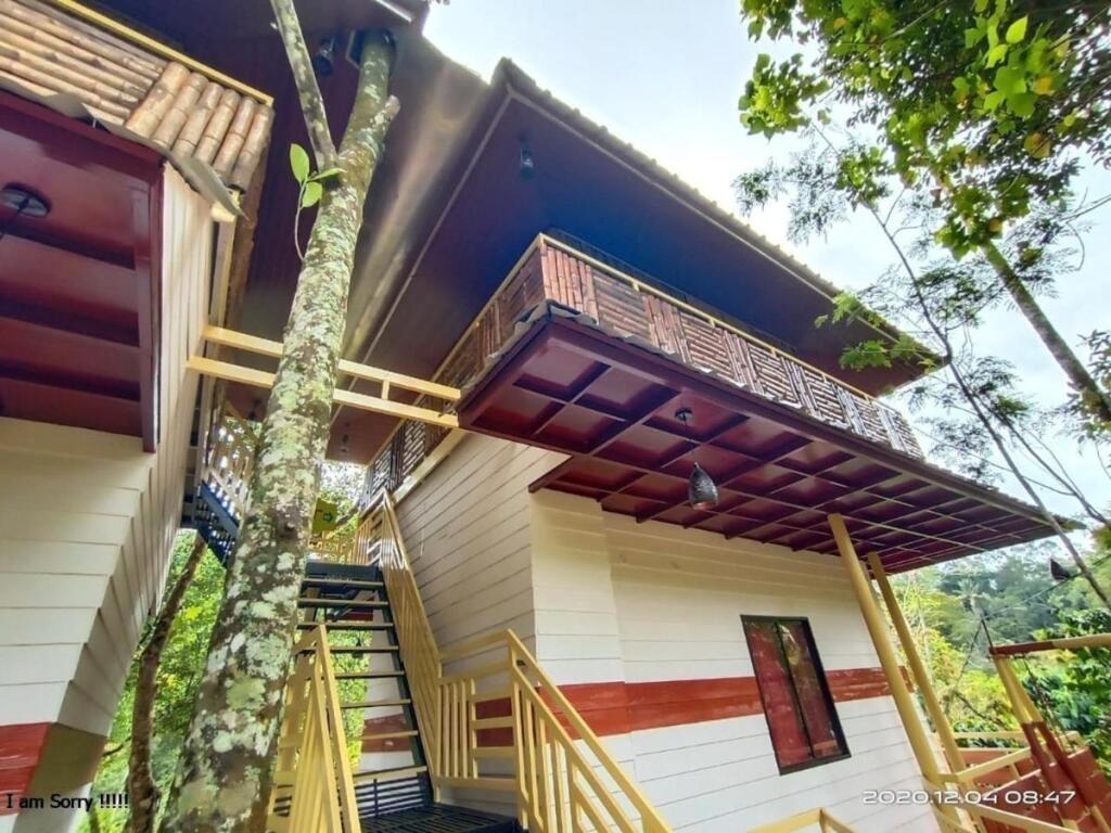 Муннар: Chalona Jungle Eco Stay