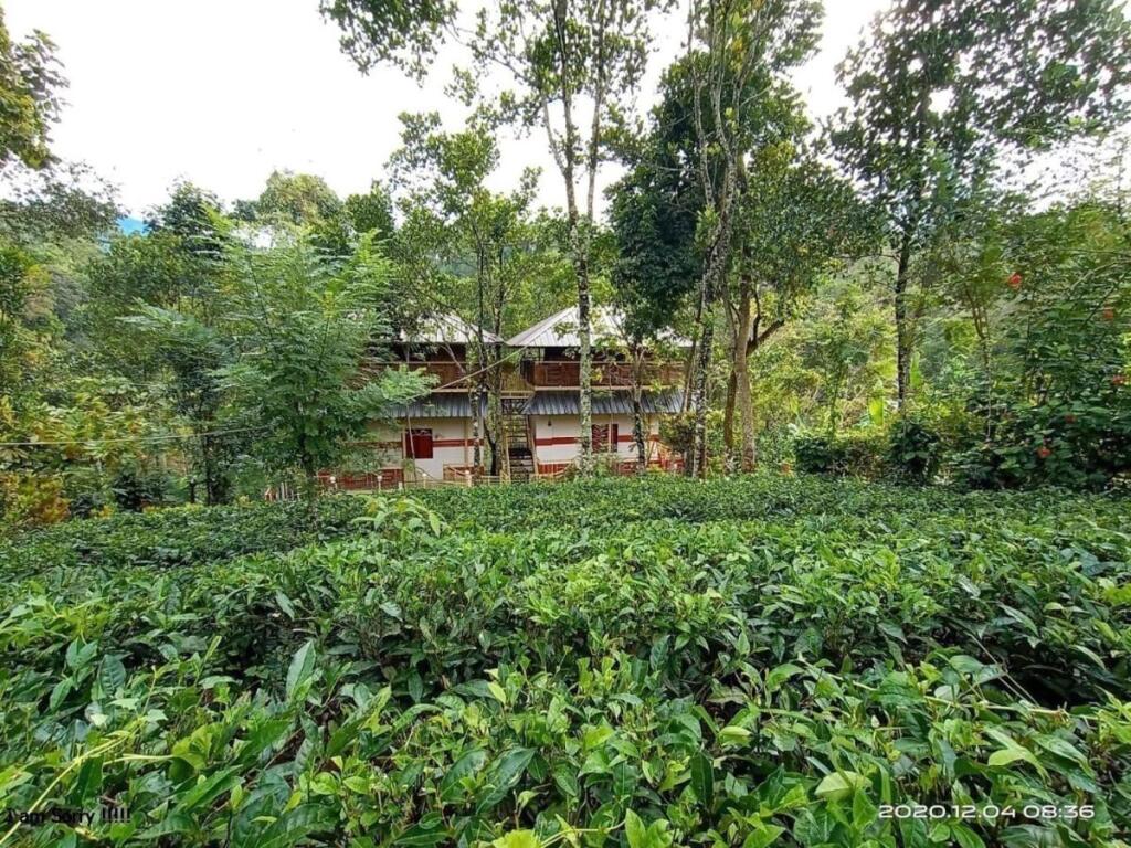 Муннар: Chalona Jungle Eco Stay