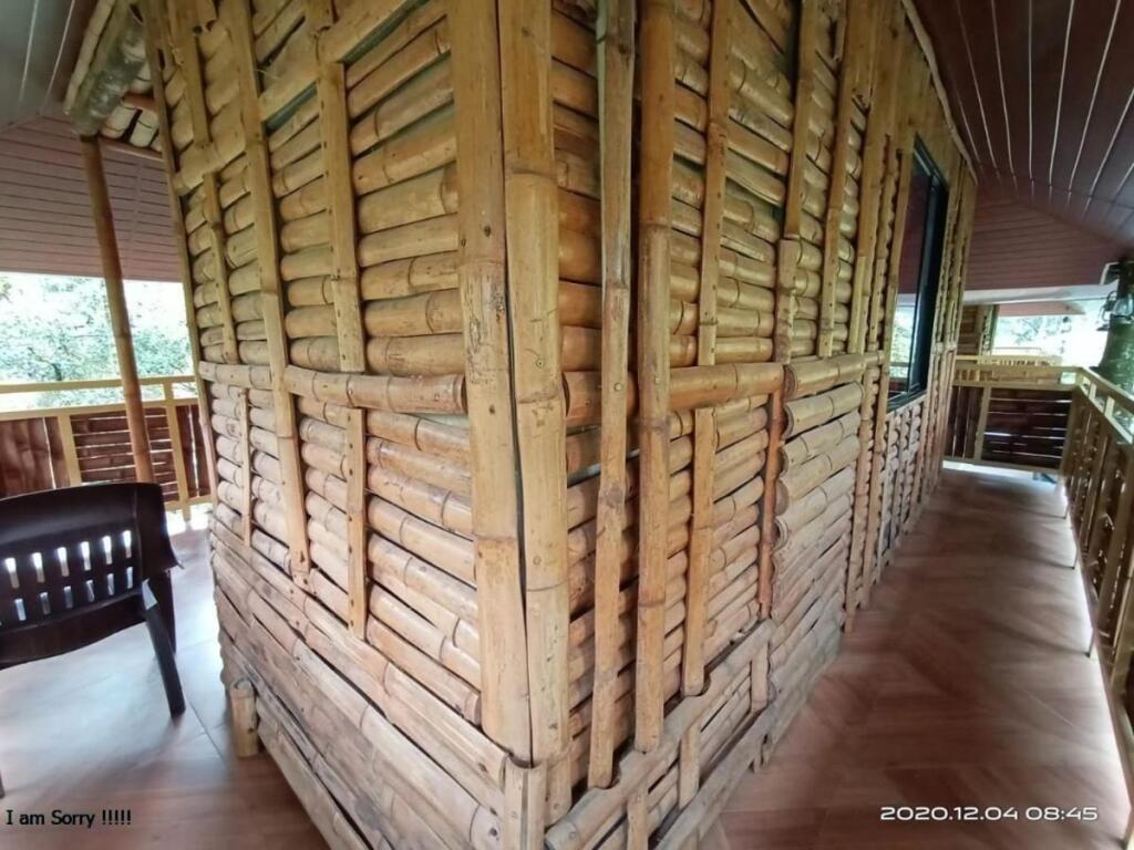 Chalona Jungle Eco Stay — фото 2