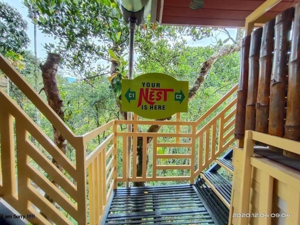 Chalona Jungle Eco Stay — фото 4