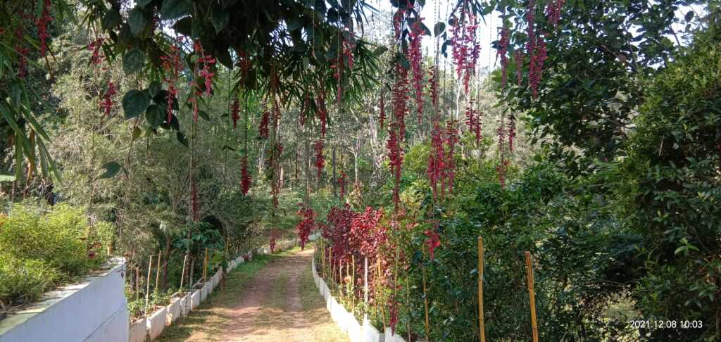 Велламундра: Humming Breeze Nature Retreat