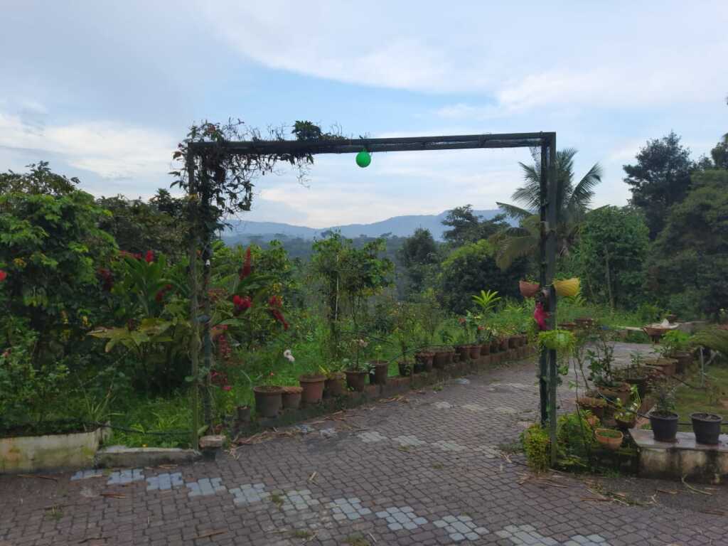 Велламундра: Humming Breeze Nature Retreat