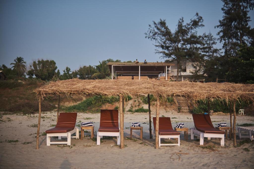 Мандрем: Woodpegger By The Beach