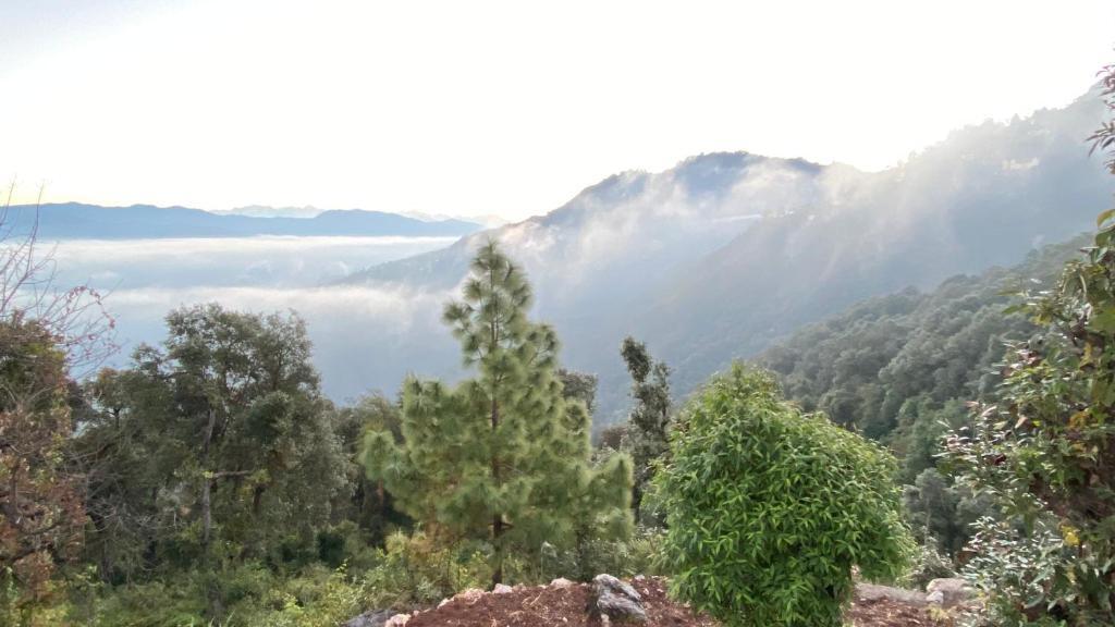 Массури: Ananta Prana Glamping Resort Hotel Mussoorie