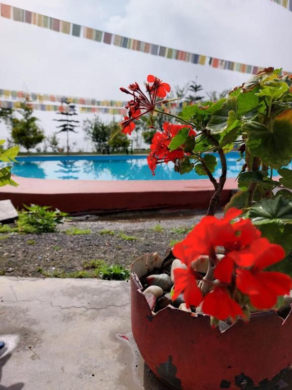 Массури: Mussoorie Camp Resort