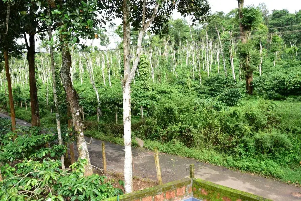 Султан-Батери: Pauls Retreat Wayanad