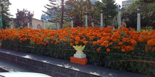 Кодайканал: Happy Valley
