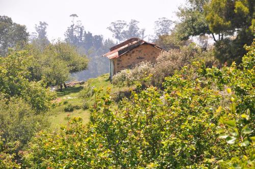 Кодайканал: Yogi Hill Top Cottage