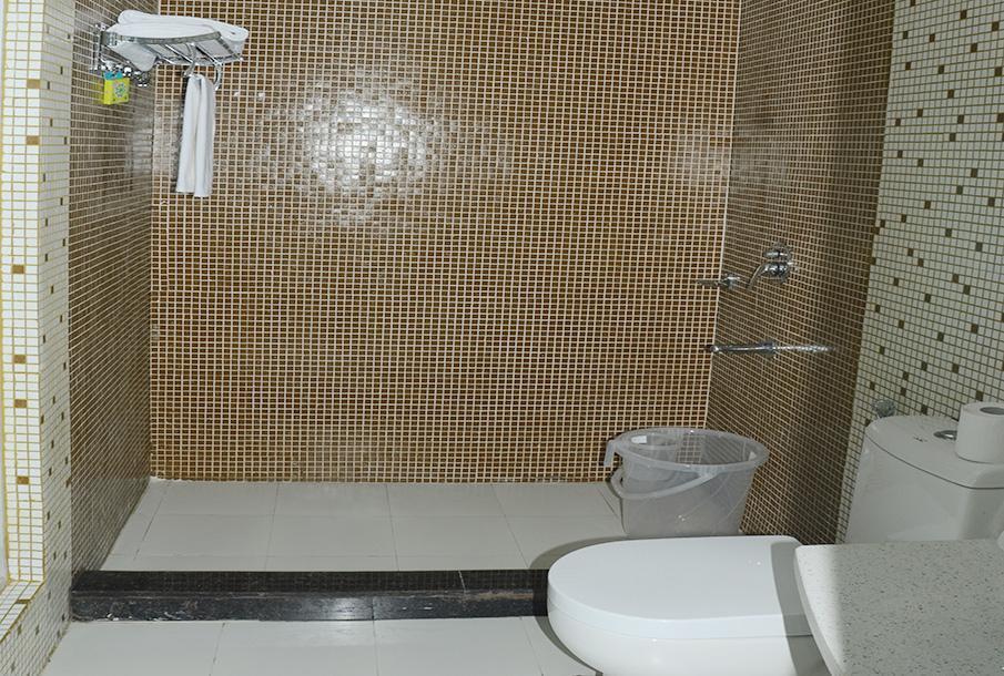 Нойда: Hotel Gaba Inn