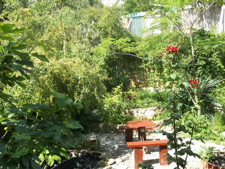 Орджоникидзе: Na Mindalnaya Guest House