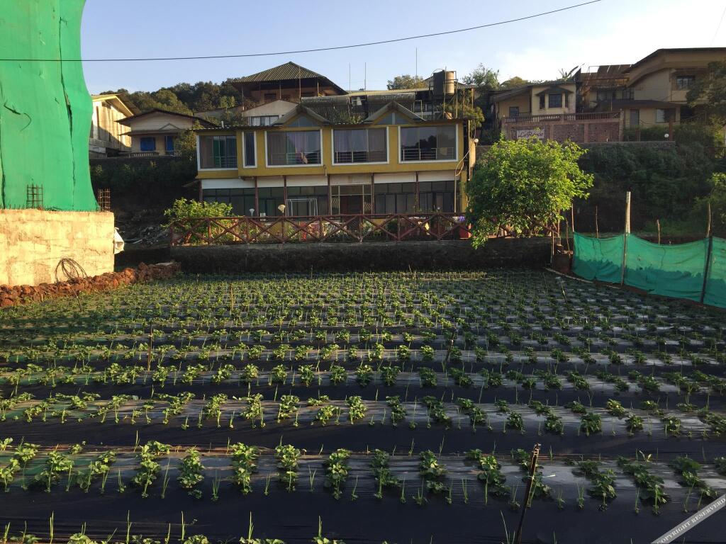 Олд-Махабалешвар: Trupti Cottages Mahabaleshwar