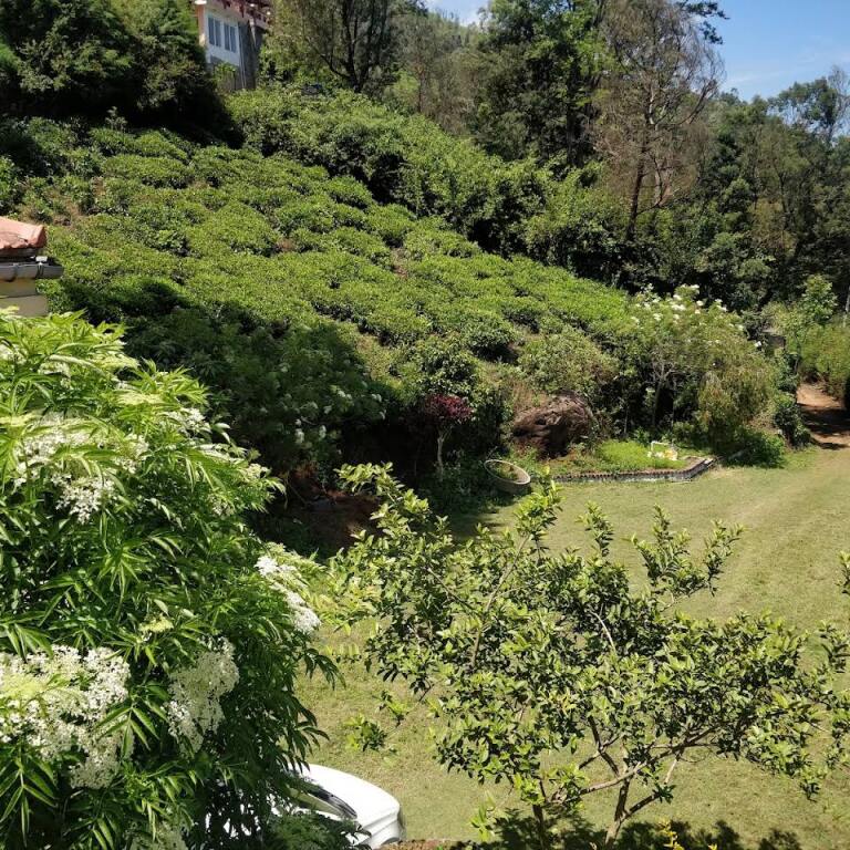 Кунур: Bodhi Greens Homestays