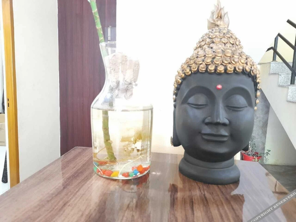 Ришикеш: Hotel Krishna Rishikesh