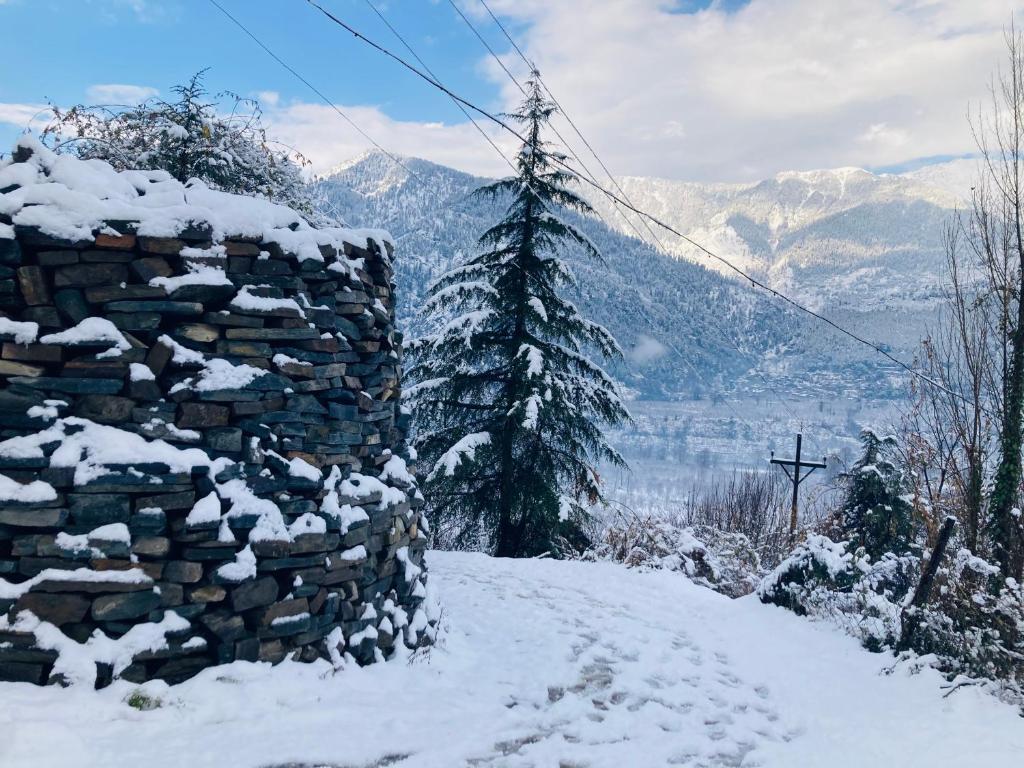 Манали: Hotel Snow Crest Residency