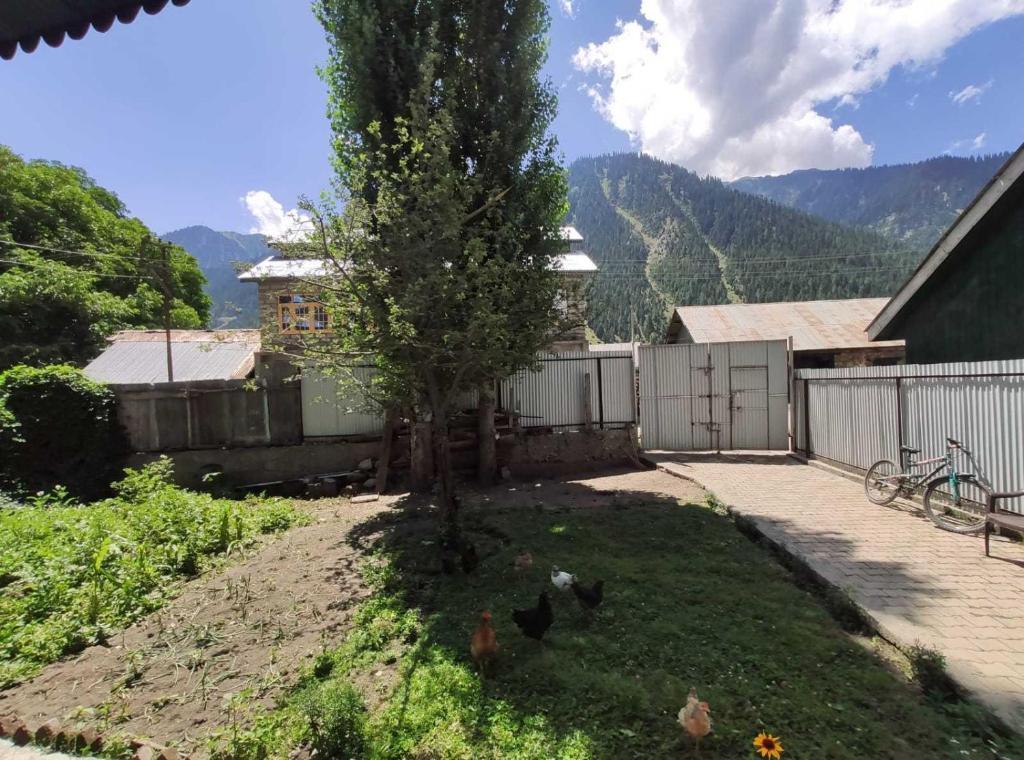 Катра: POP 92555 Loan Homestay