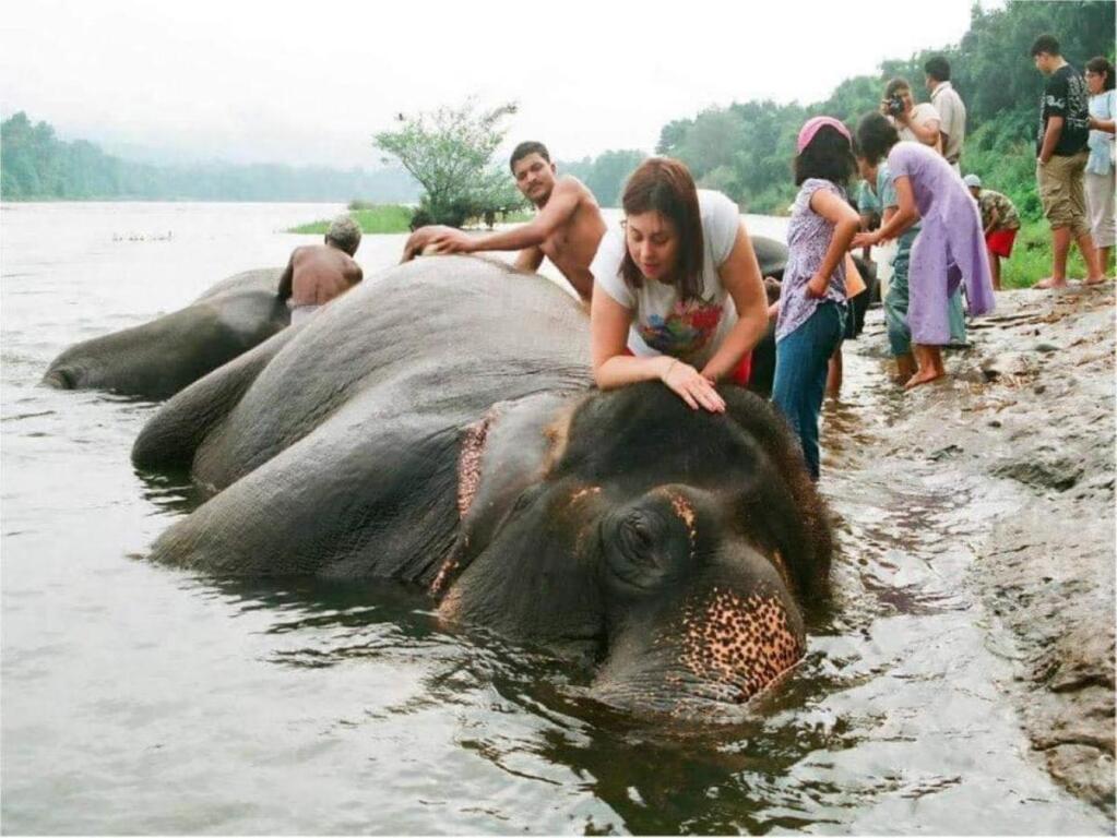 Атирапалли: Vajra Ayurveda and Yoga Retreat