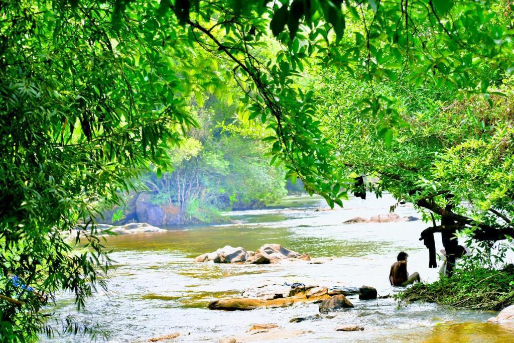 Атирапалли: Vajra Ayurveda and Yoga Retreat