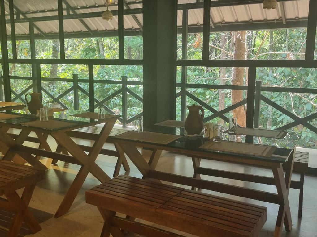 Атирапалли: Vajra Ayurveda and Yoga Retreat